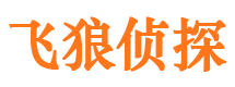 新河调查事务所